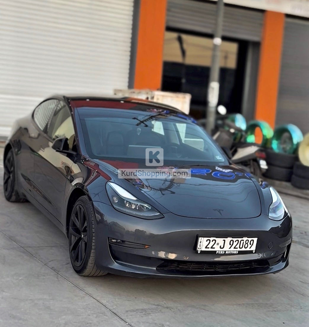 Tesla Model 3 2022