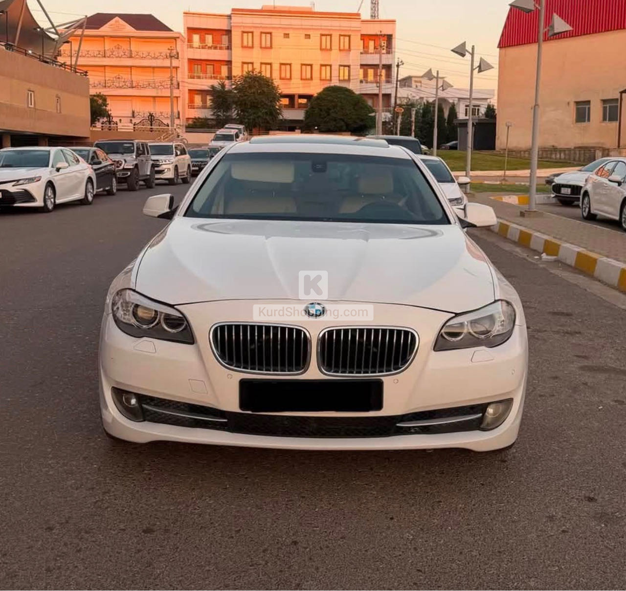 BMW 5 Series 2013